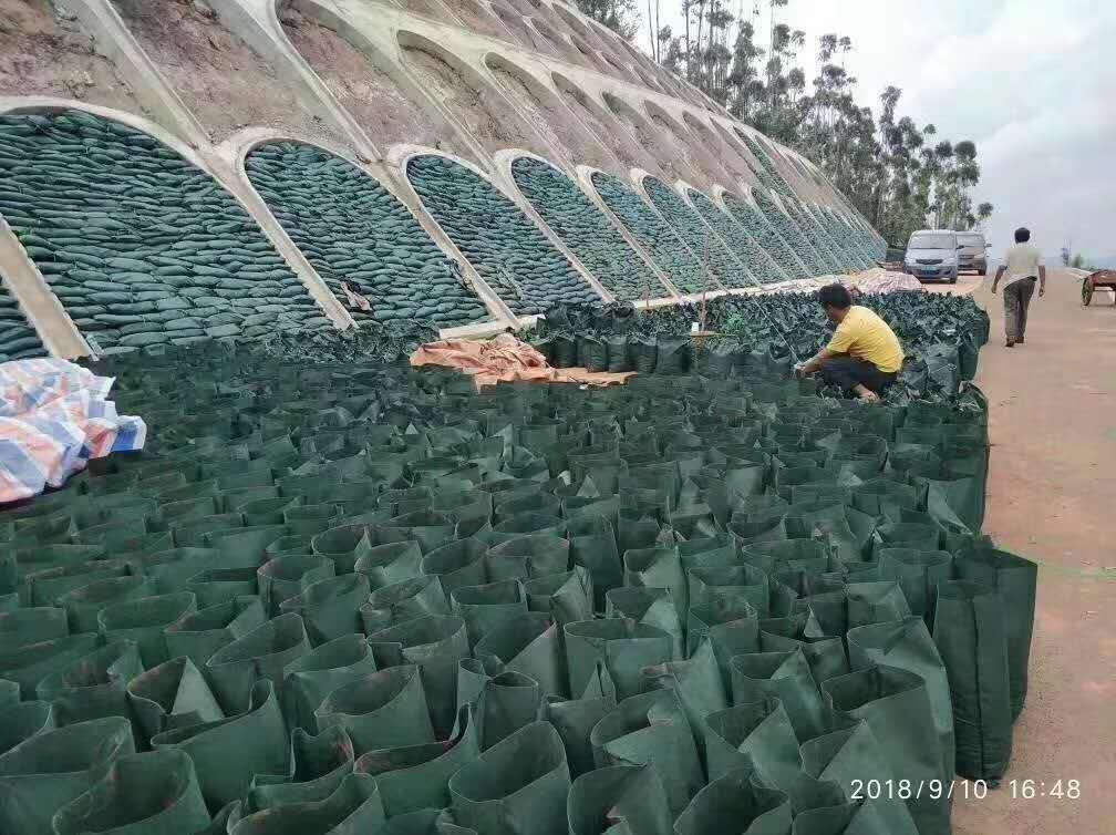 邊坡復綠及美化多種技術應用