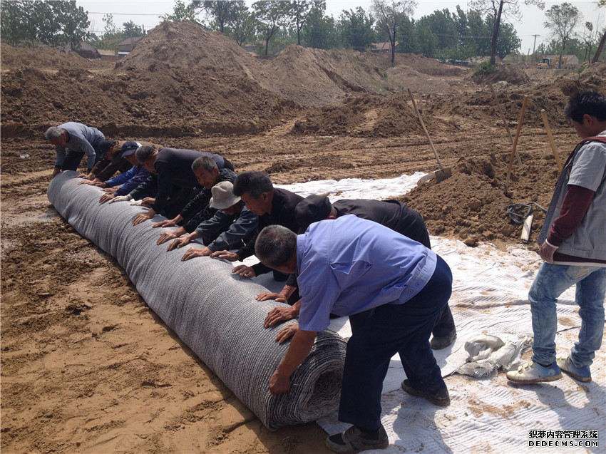 膨潤(rùn)土防水毯在蓄水池成池方案分析