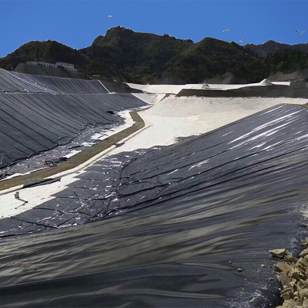 復(fù)合土工膜助力大藤峽一期上游土石圍堰填筑